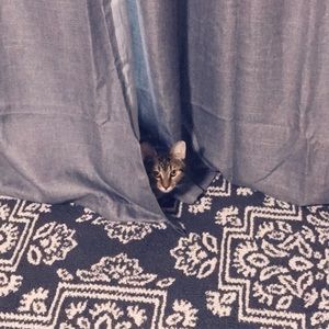 Meet your Posher, Tami